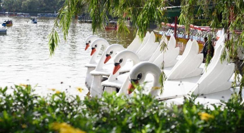 Hotel Veniz - Session Baguio City Ngoại thất bức ảnh